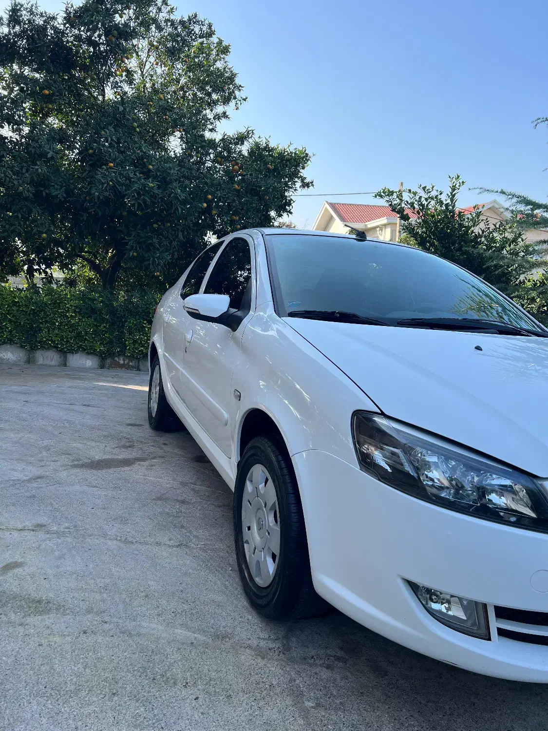 رانا پلاس سقف فلز - 1400