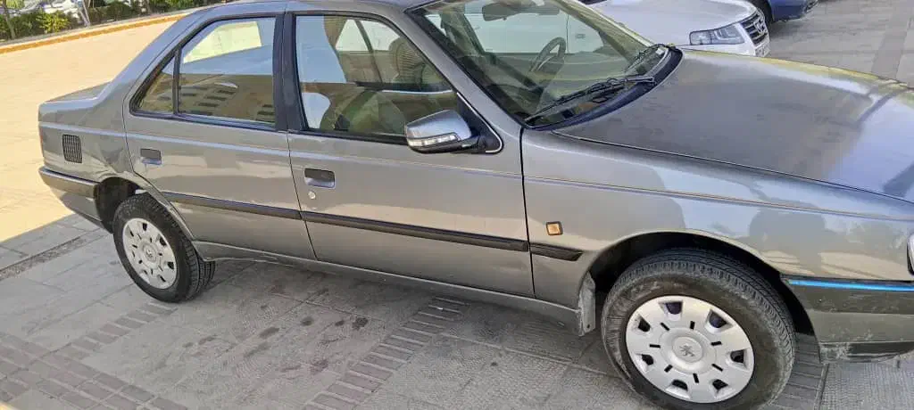 پژو 405 GLX - دوگانه سوز - 1389