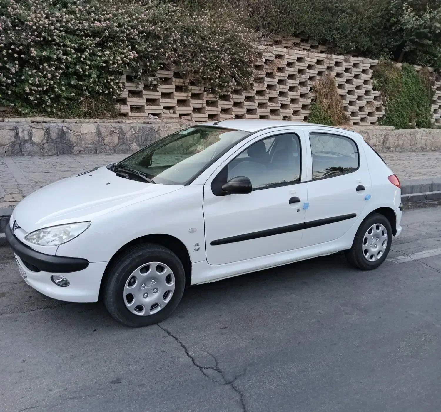 پژو 206 تیپ 2 - 1401