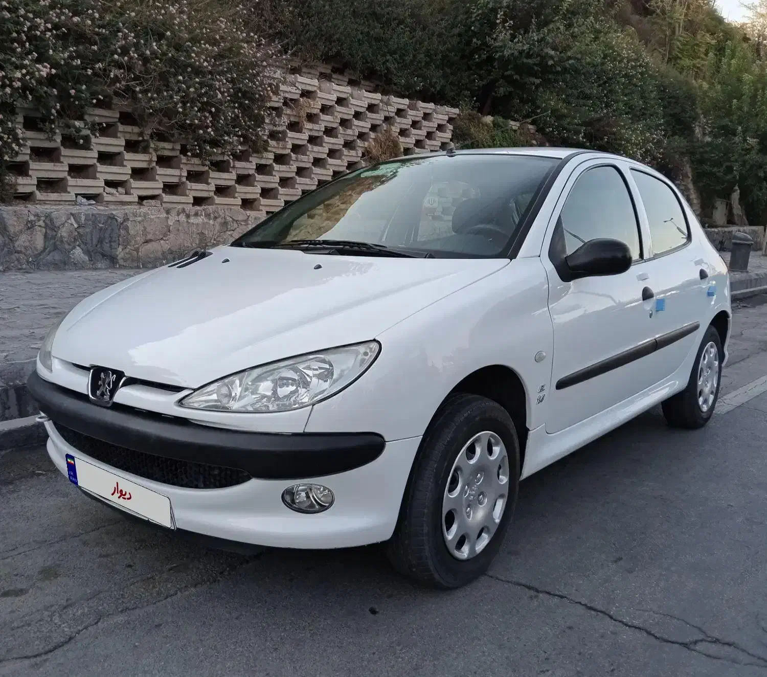 پژو 206 تیپ 2 - 1401