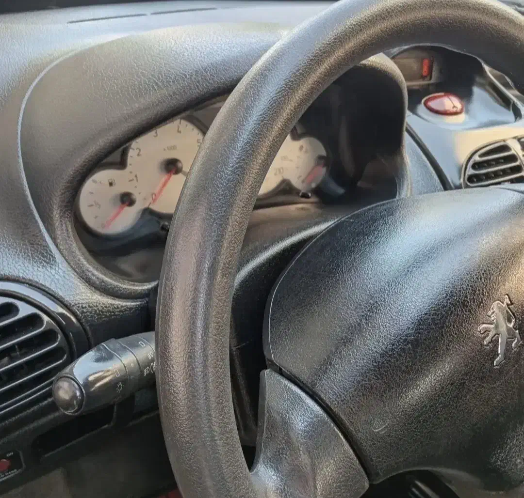 پژو 206 تیپ 2 - 1401