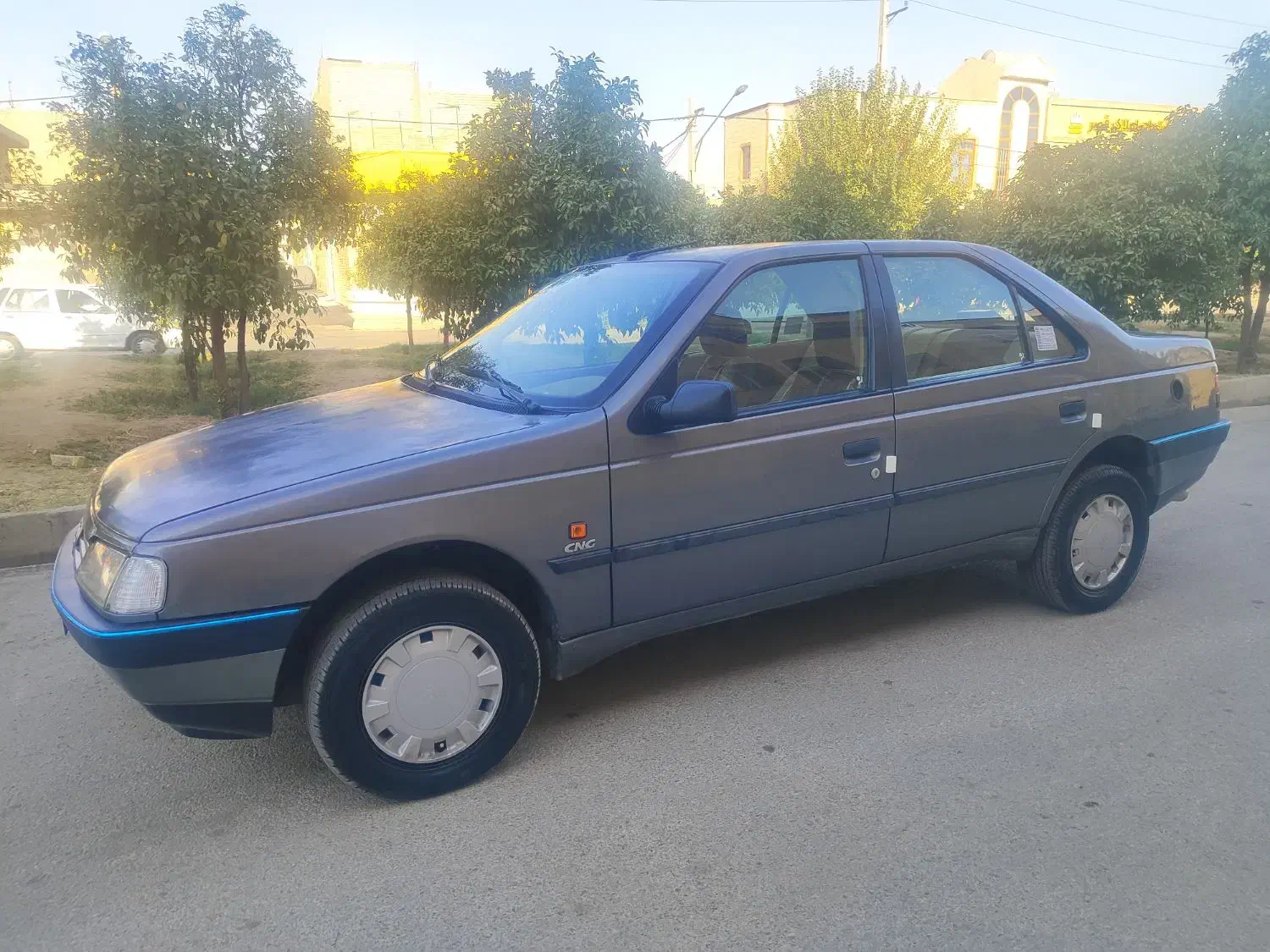 پژو 405 GLX - دوگانه سوز - 1390