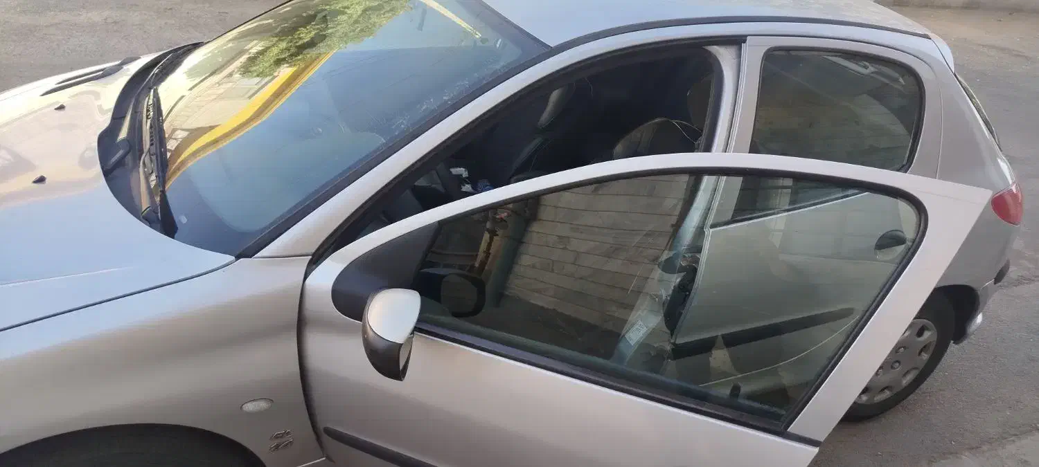 پژو 206 تیپ 2 - 1394