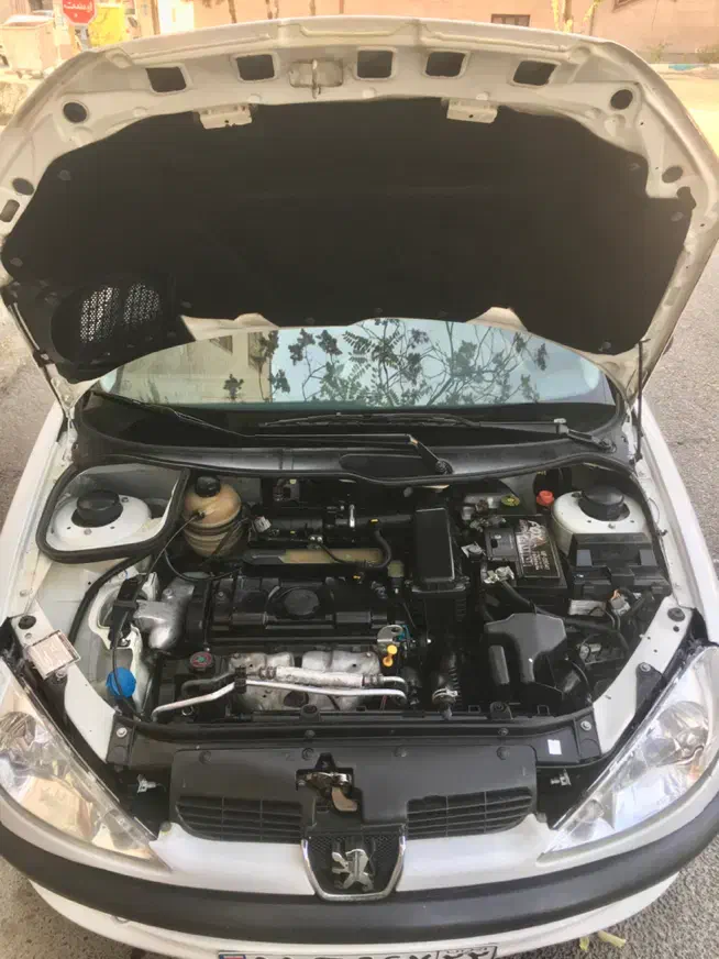 پژو 206 تیپ 2 - 1394