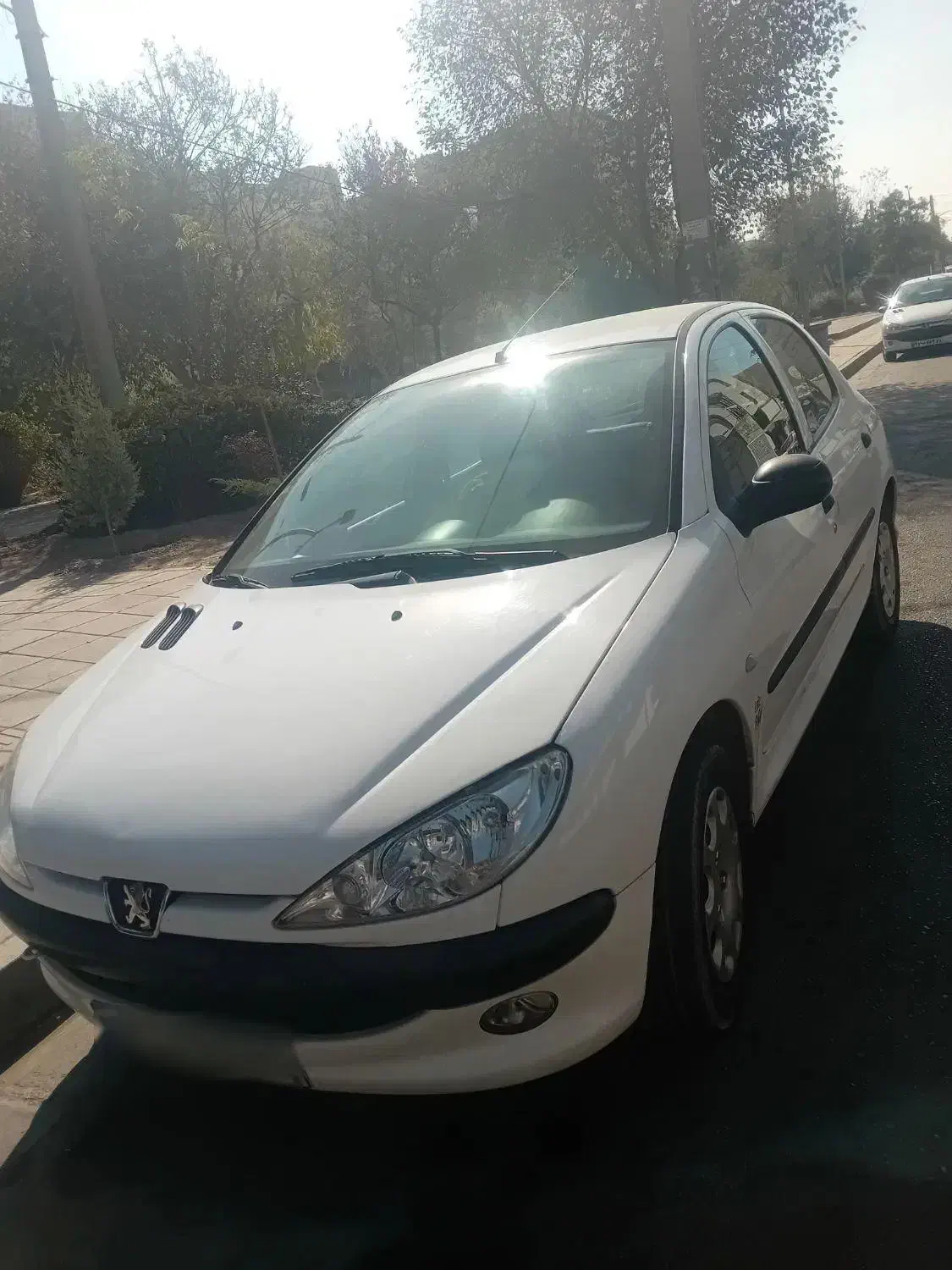 پژو 206 تیپ 2 - 1401