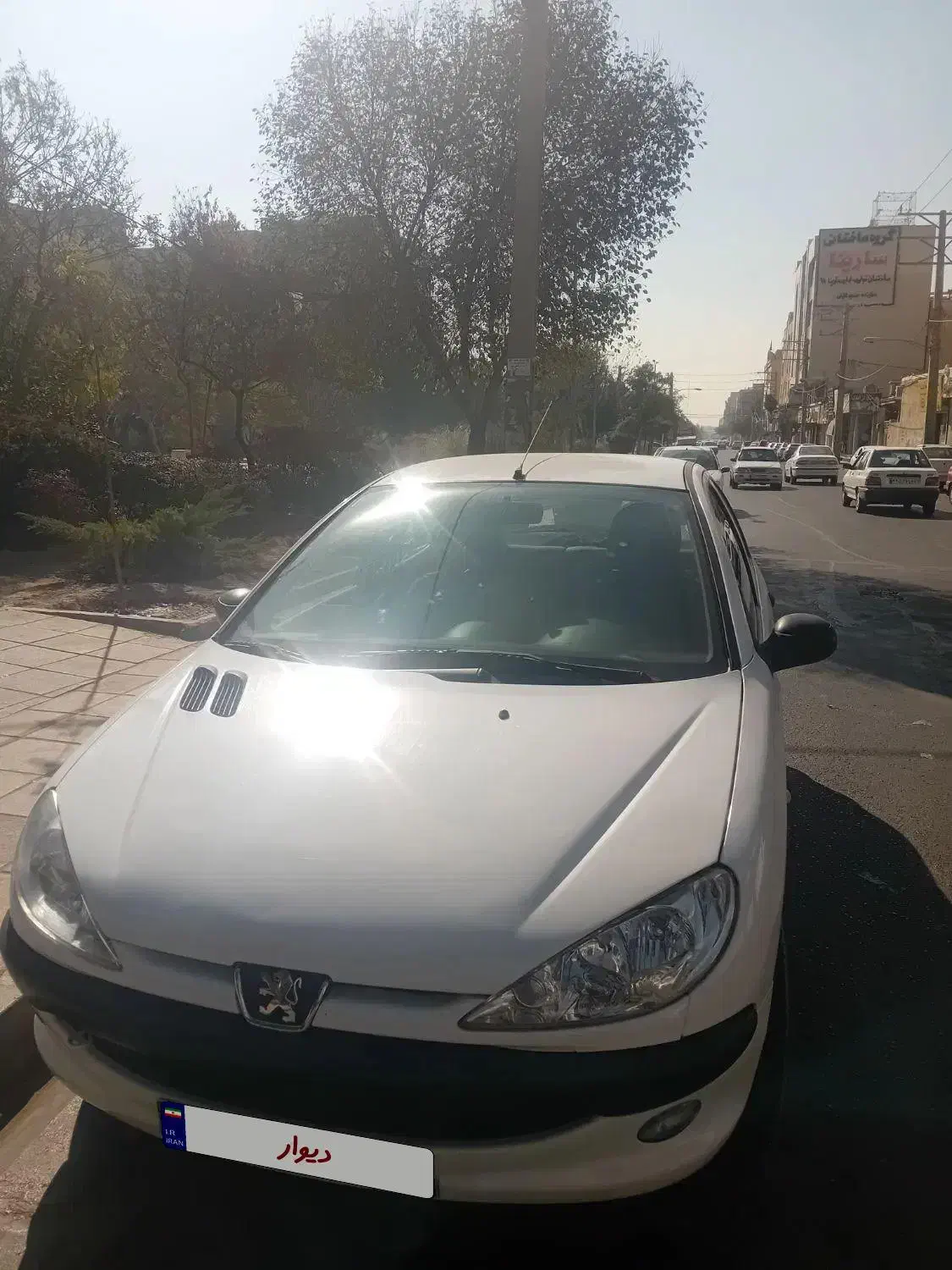 پژو 206 تیپ 2 - 1401