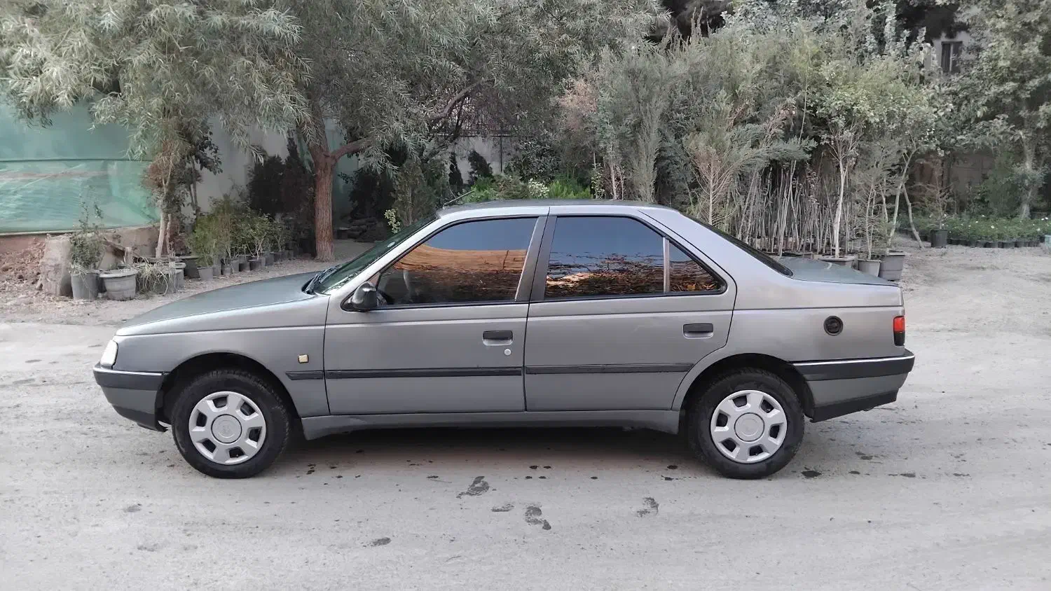 پژو 405 GLX - دوگانه سوز - 1390