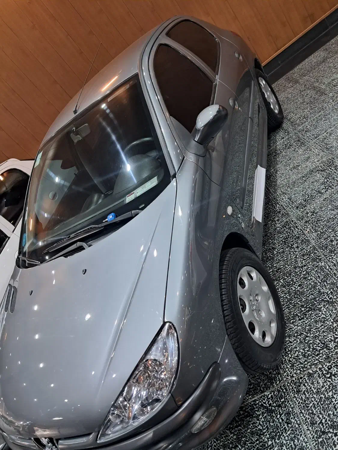 پژو 206 تیپ 5 - 1393