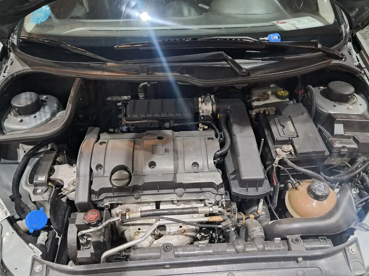 پژو 206 تیپ 5 - 1393