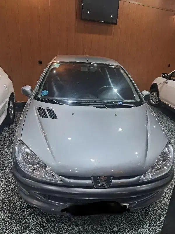 پژو 206 تیپ 5 - 1393