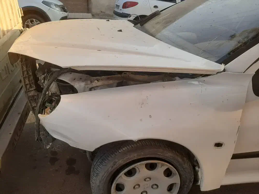 پژو 206 تیپ 3 - 1381