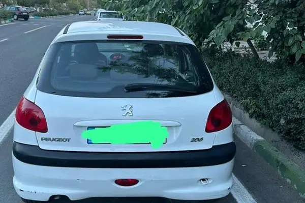 پژو 206 تیپ 5 - 1393