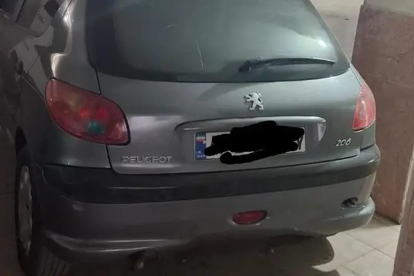 پژو 206 تیپ 5 - 1393
