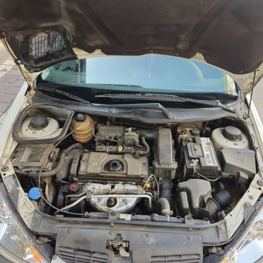 پژو 206 تیپ 2 - 1388