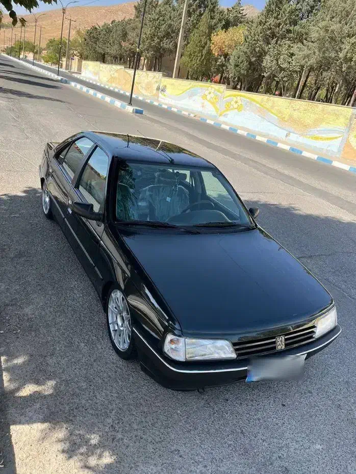 خودرو پژو، 405 آگهی ann_20911675