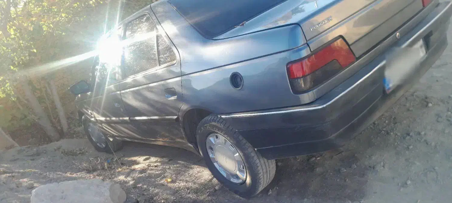 پژو 405 GLX - دوگانه سوز - 1393