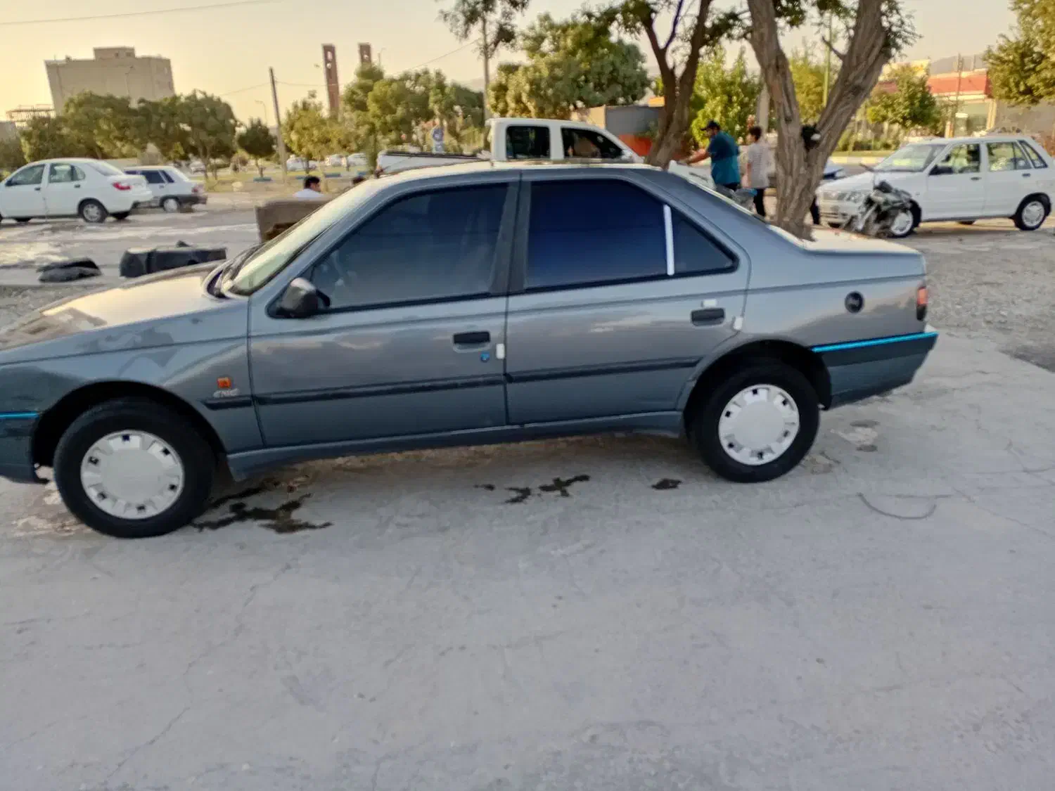 پژو 405 GLX - دوگانه سوز - 1395