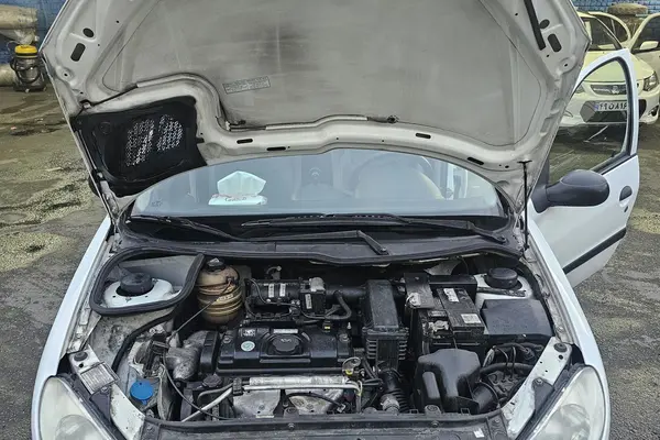 پژو 206 تیپ 2 - 1399