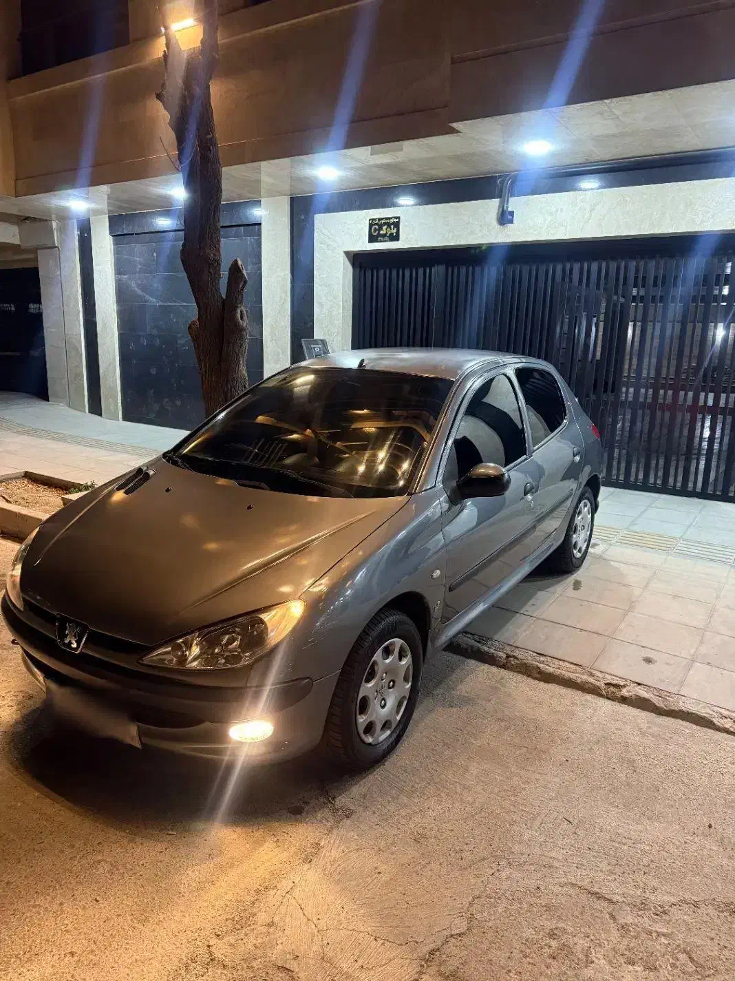 پژو 206 تیپ 2 - 1388