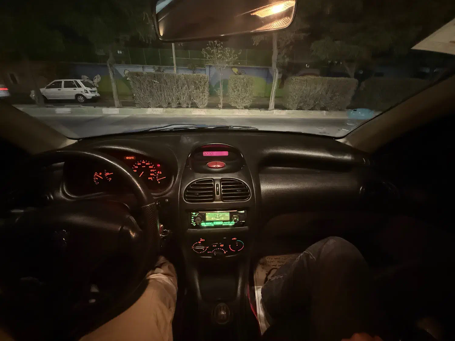 پژو 206 تیپ 2 - 1388