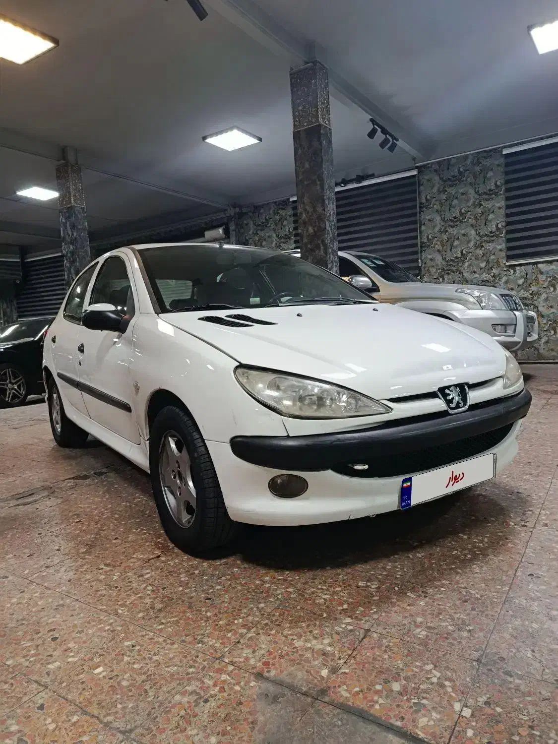 پژو 206 تیپ 5 - 1393