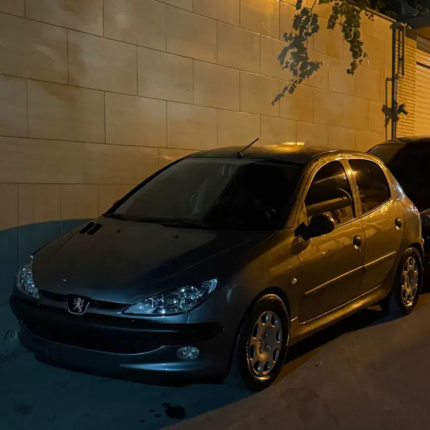 پژو 206 تیپ 2 - 1382