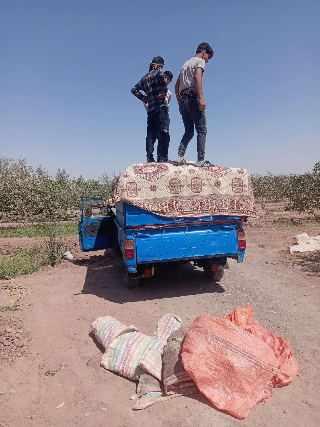 زامیاد وانت نیسانZ24 دوگانه سوز - 1384