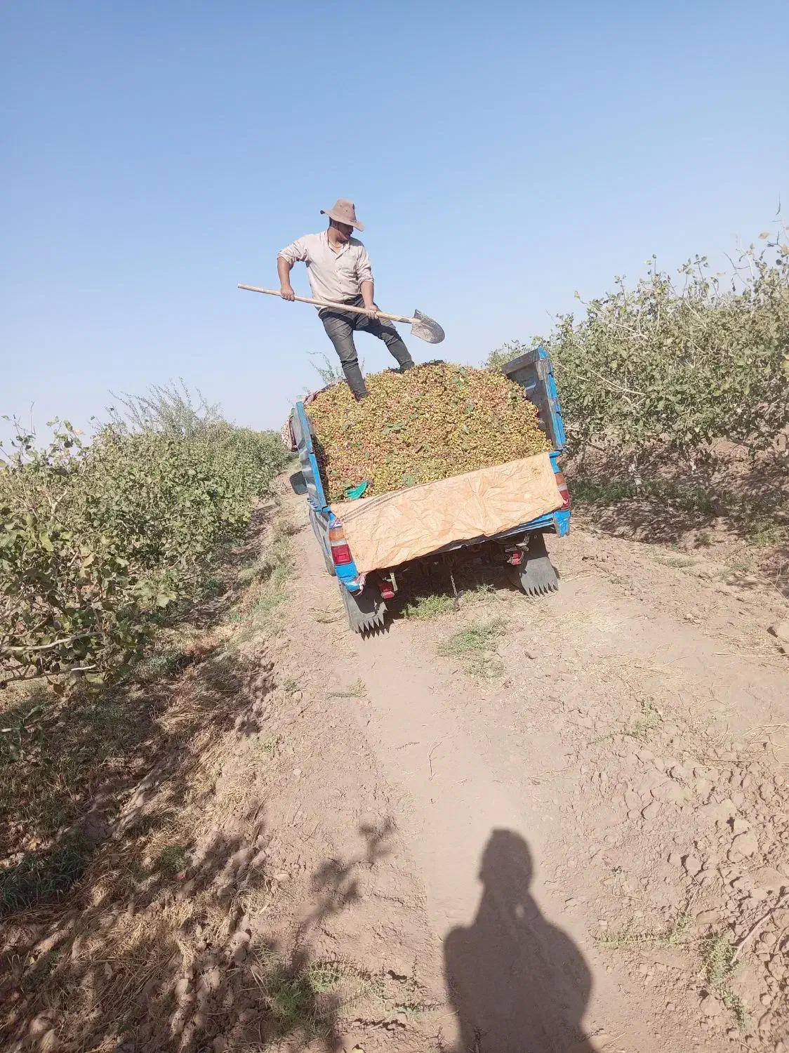 زامیاد وانت نیسانZ24 دوگانه سوز - 1384