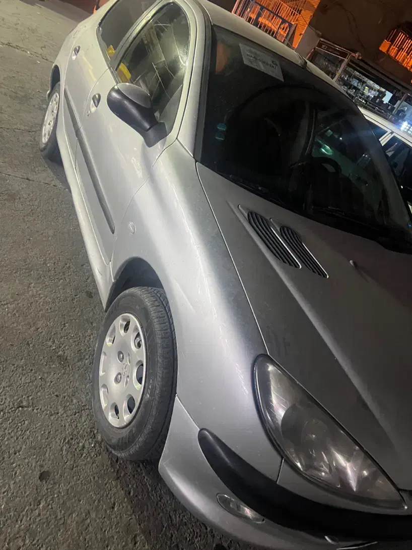 پژو 206 تیپ 2 - 1389