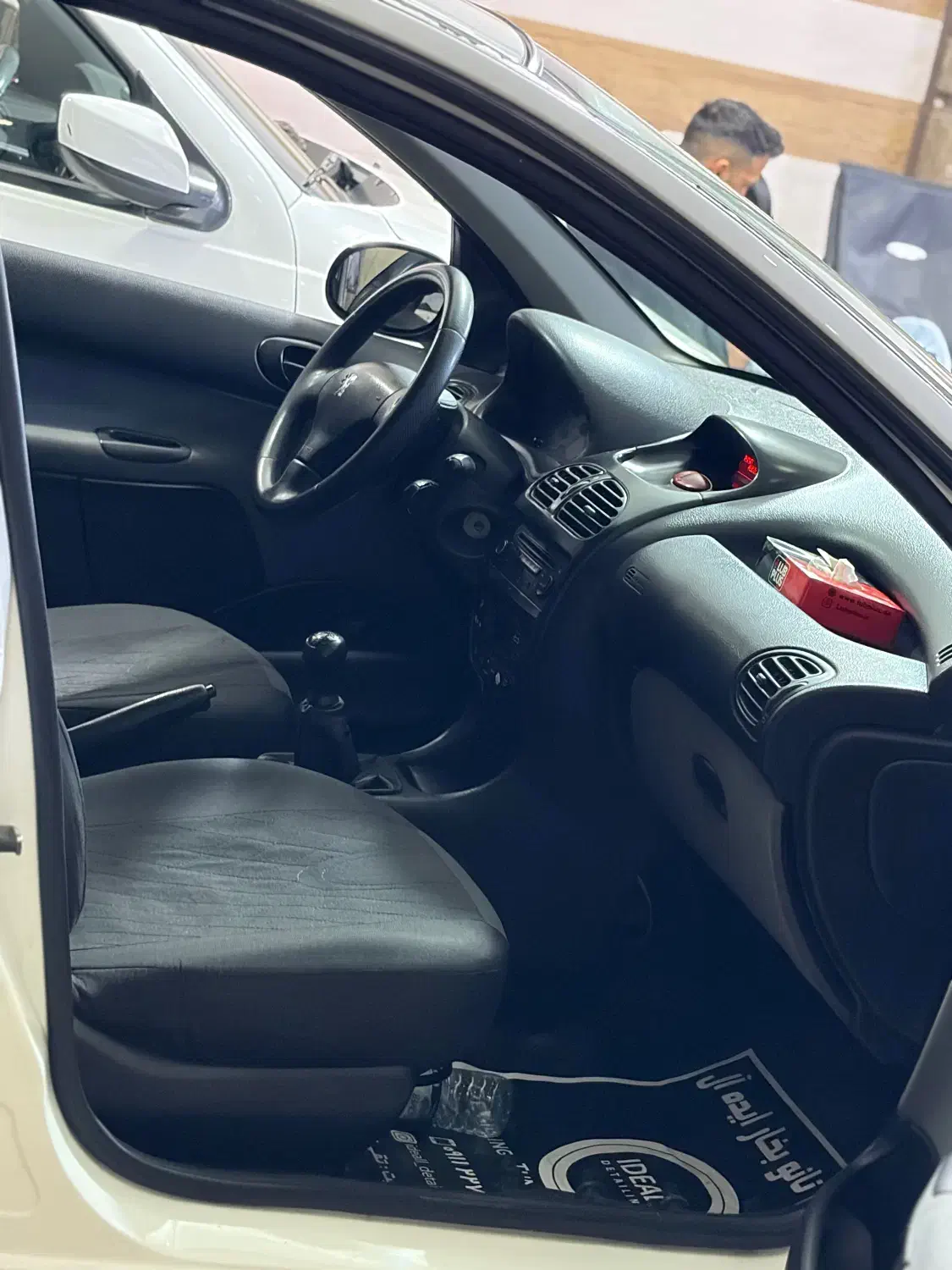 پژو 206 تیپ 5 - 1395