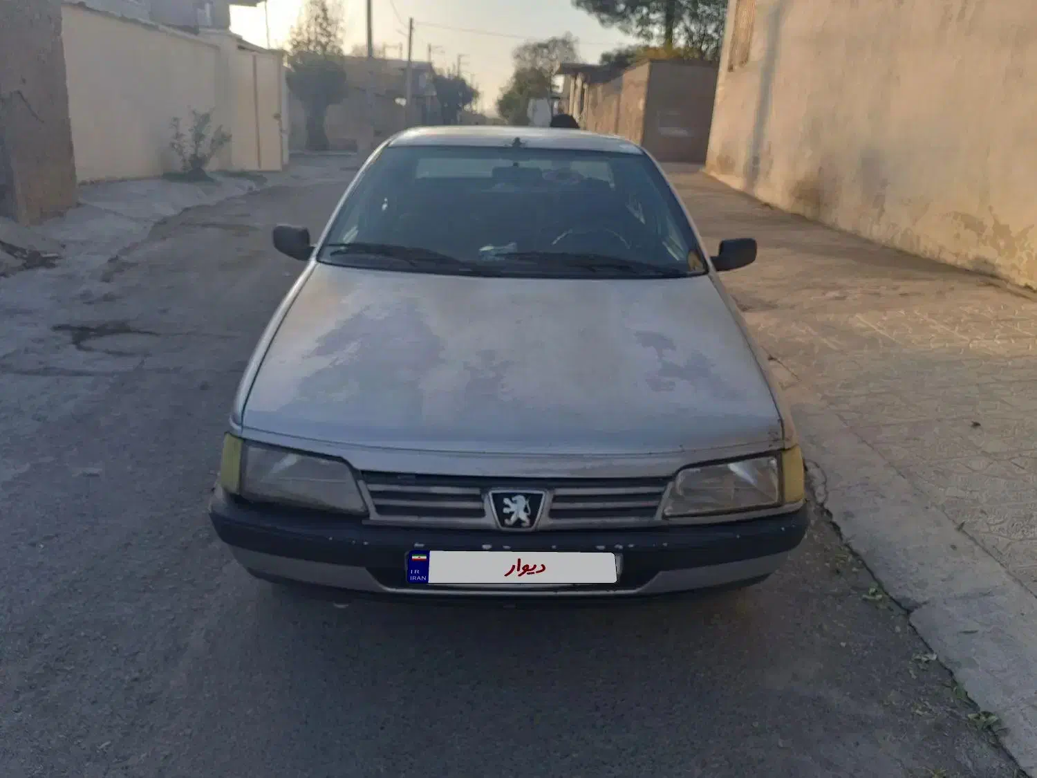 پژو روآ G2 دوگانه سوز - 1389