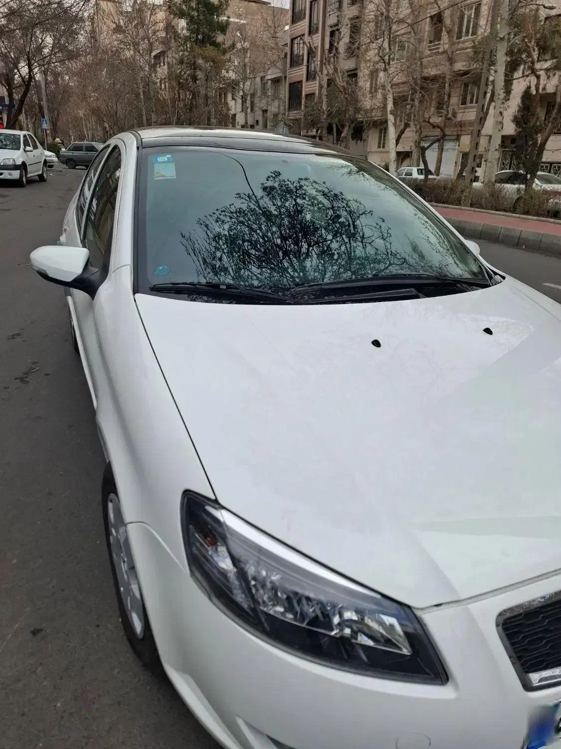 رانا پلاس پانوراما - 1402