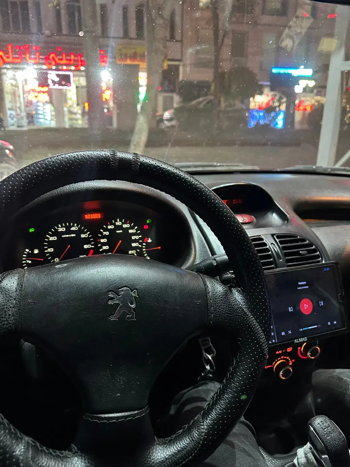 پژو 206 تیپ 2 - 1389