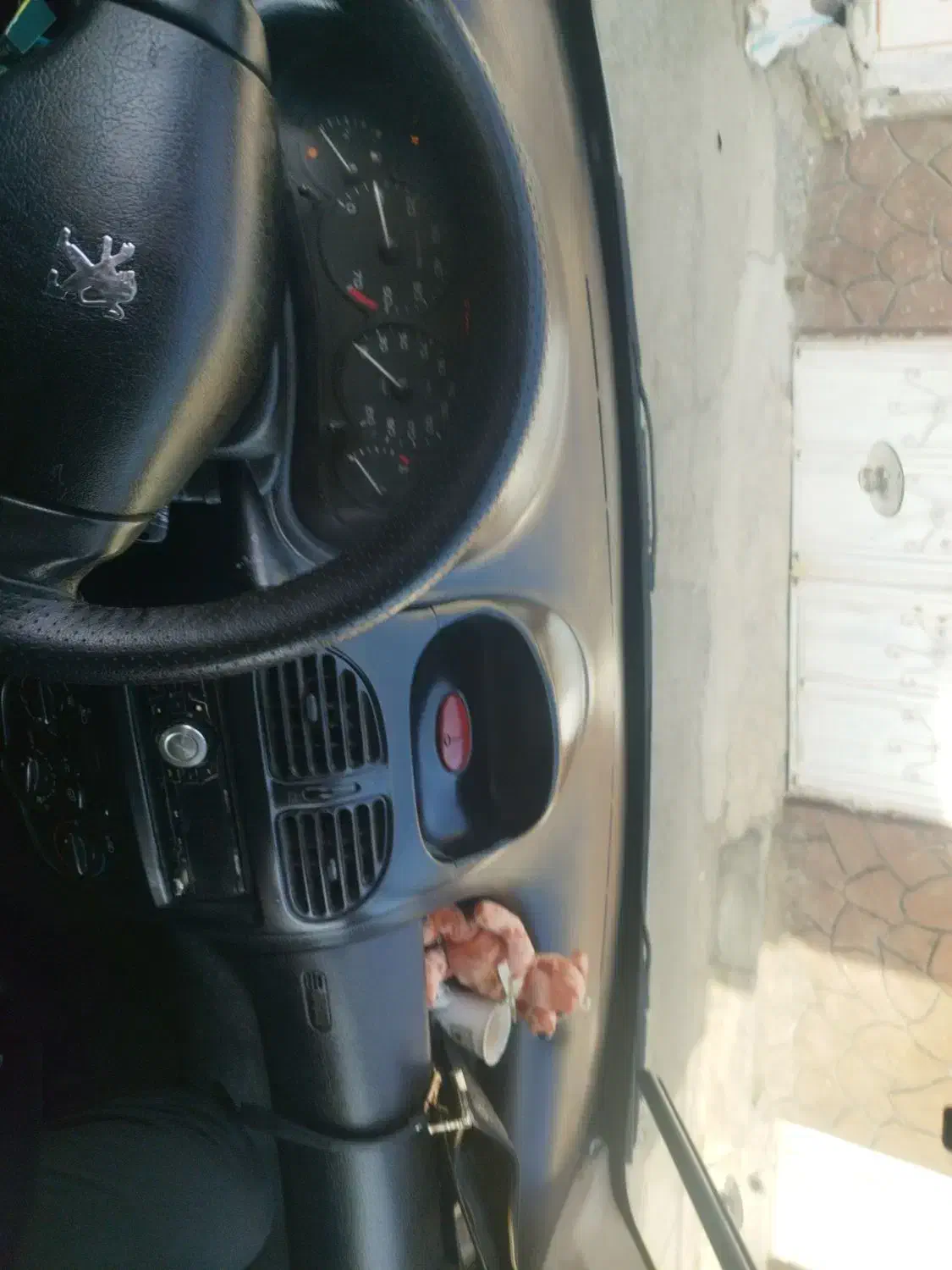 پژو 206 تیپ 2 - 1390