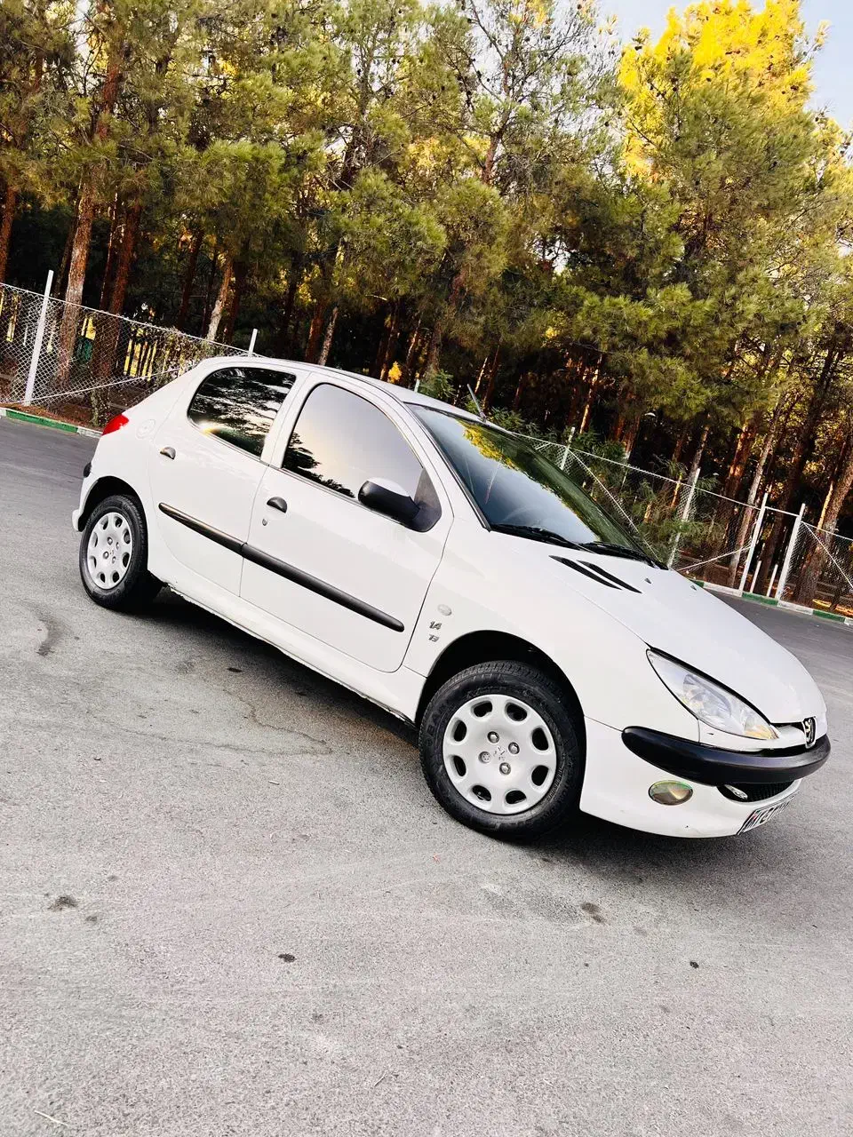 پژو 206 تیپ 2 - 1389