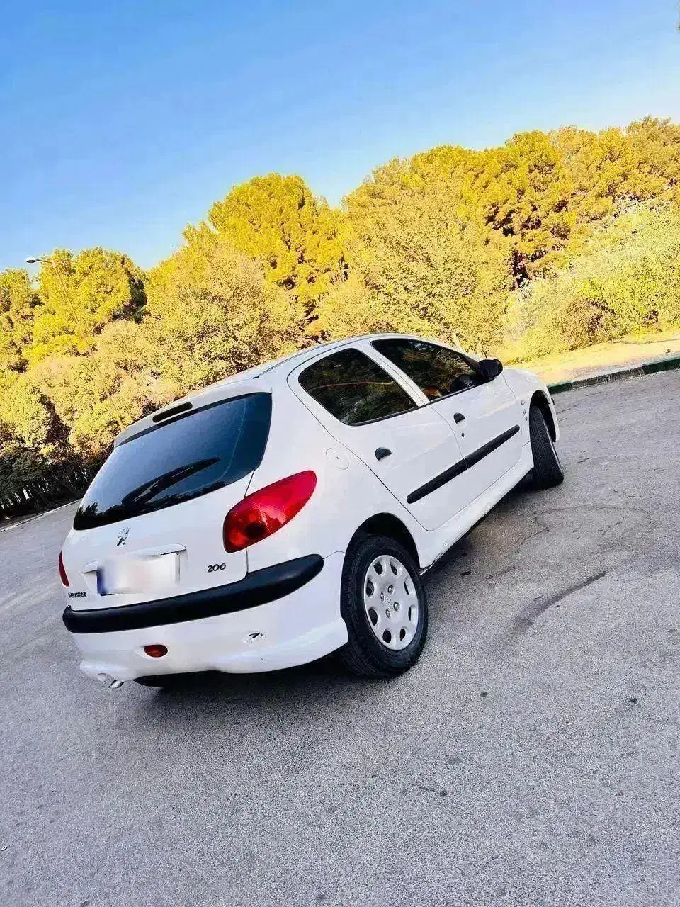 پژو 206 تیپ 2 - 1389