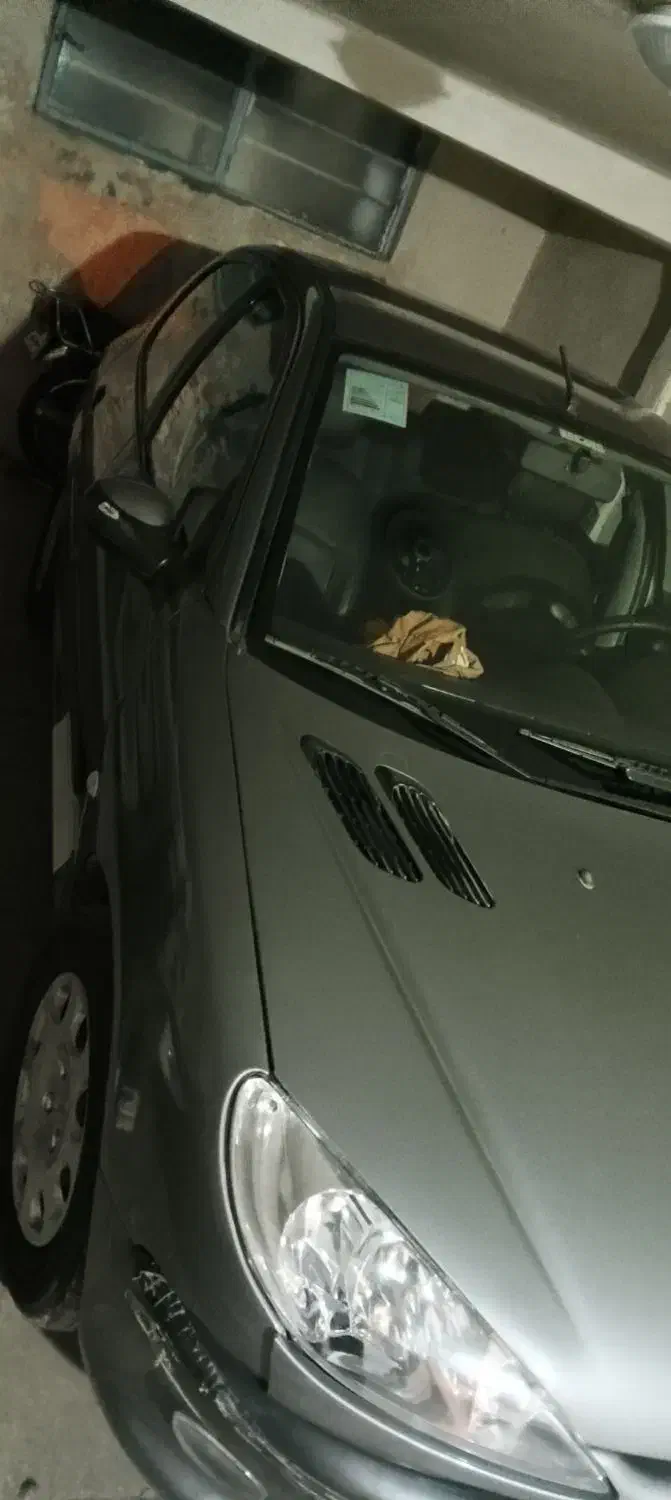 پژو 206 تیپ 2 - 1389