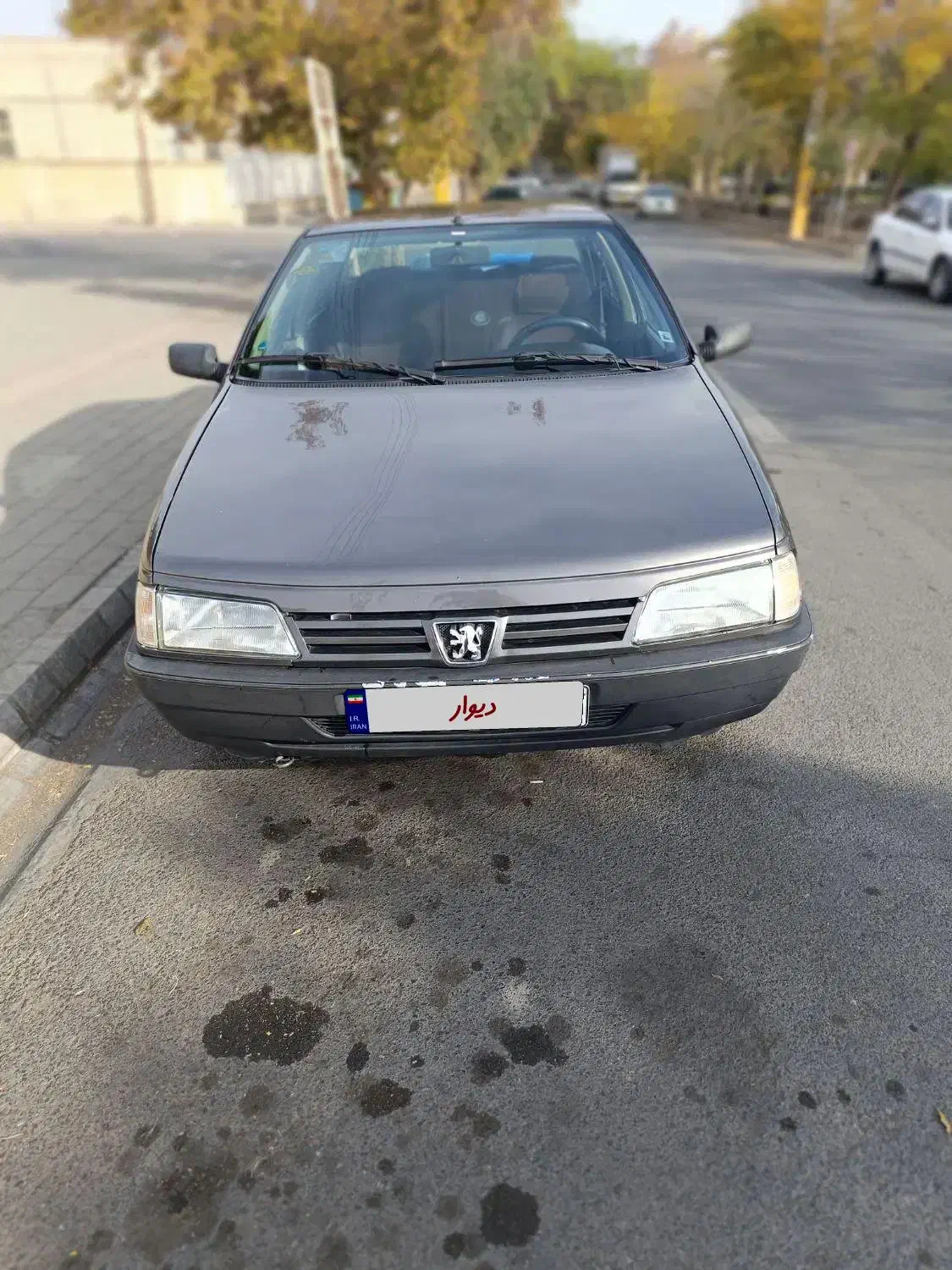 پژو روآ G2 دوگانه سوز - 1387