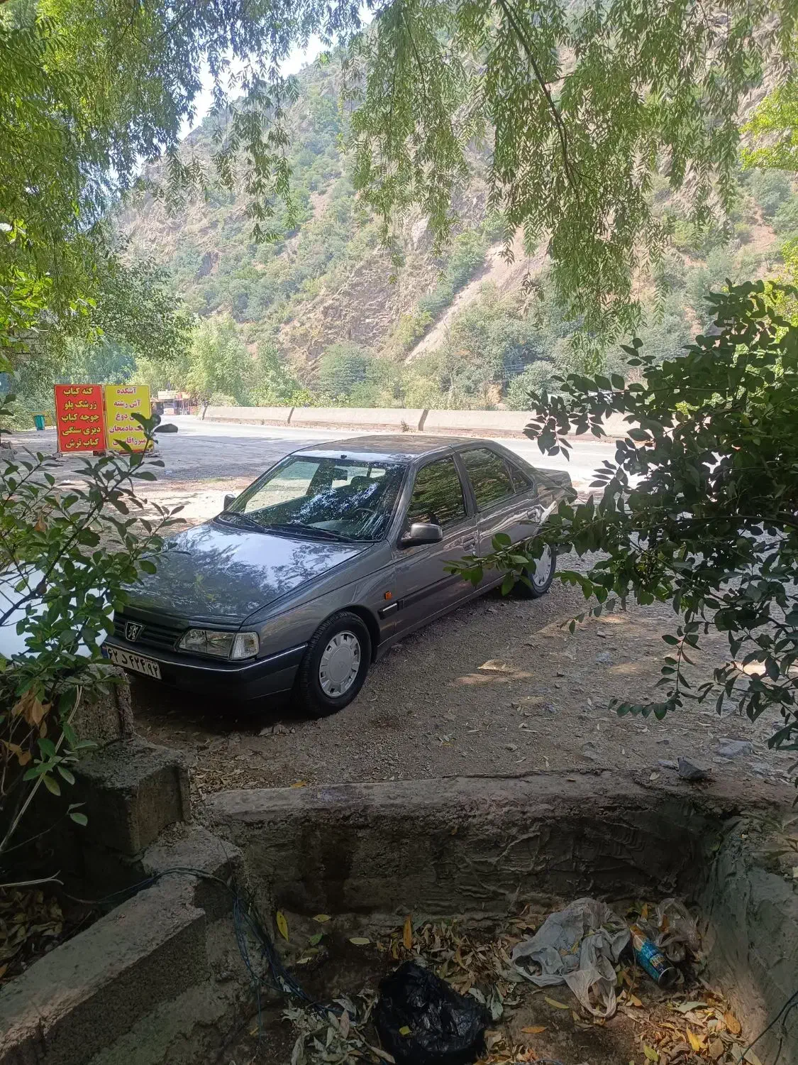 خودرو پژو، 405 آگهی ann_20927985