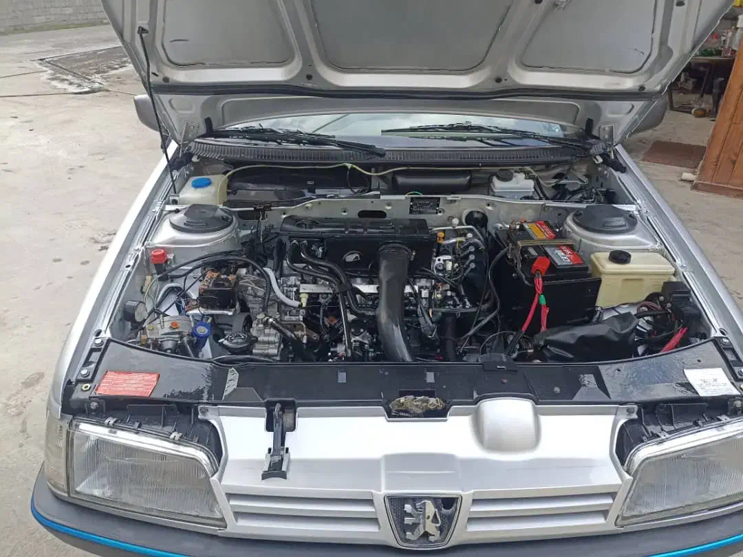 پژو 405 GLX - دوگانه سوز - 1396