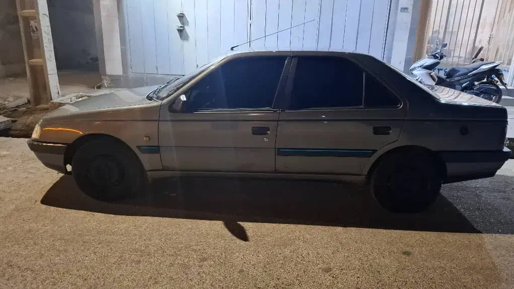 پژو 405 GLX - دوگانه سوز - 1393