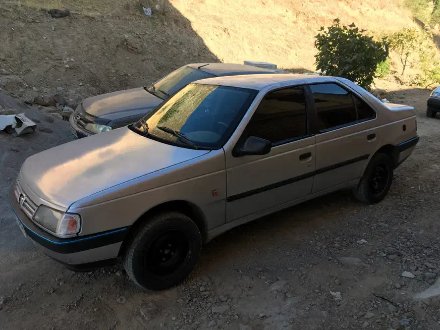 پژو 405 GLX - دوگانه سوز - 1388
