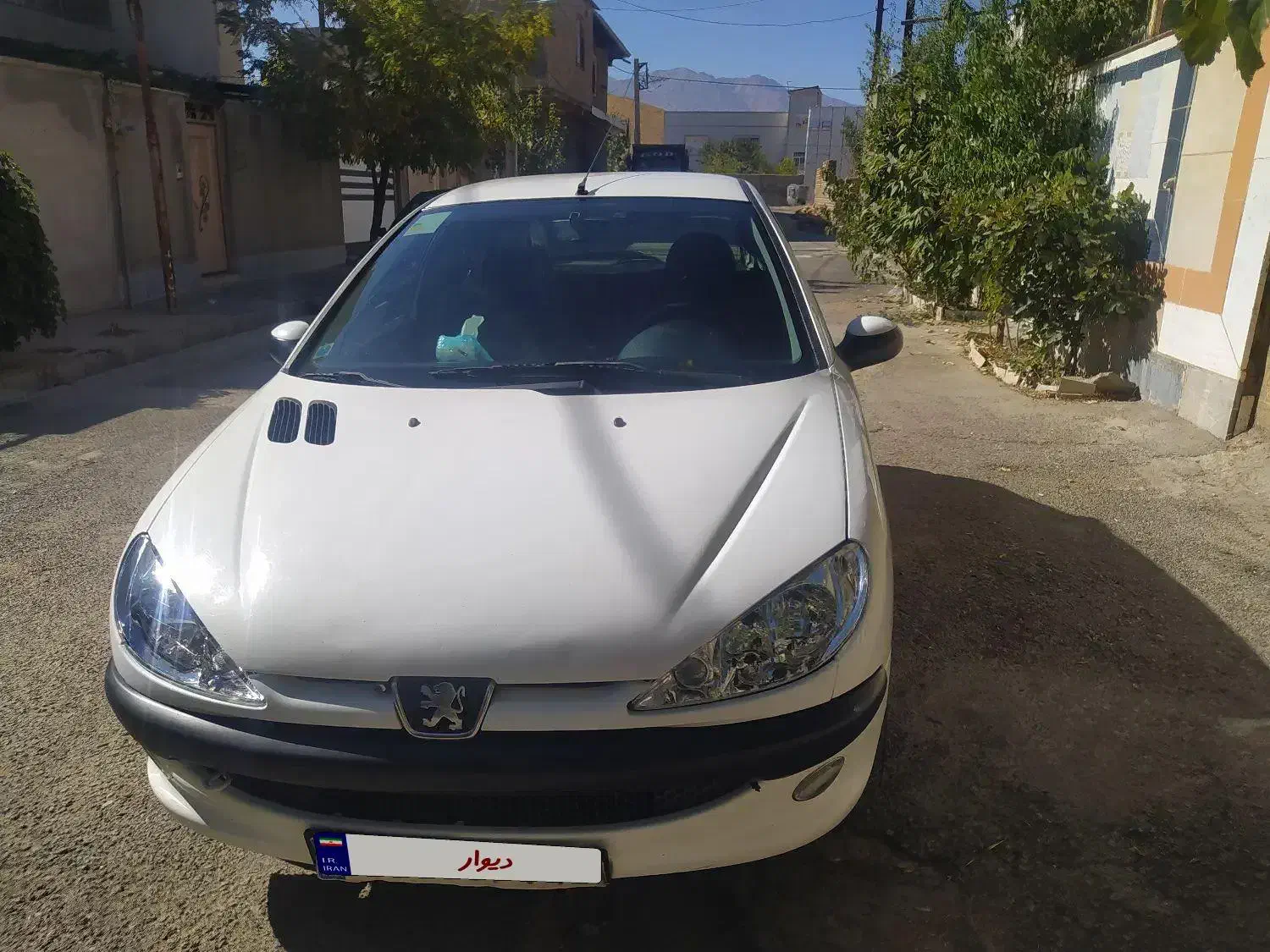 پژو 206 تیپ 2 - 1399