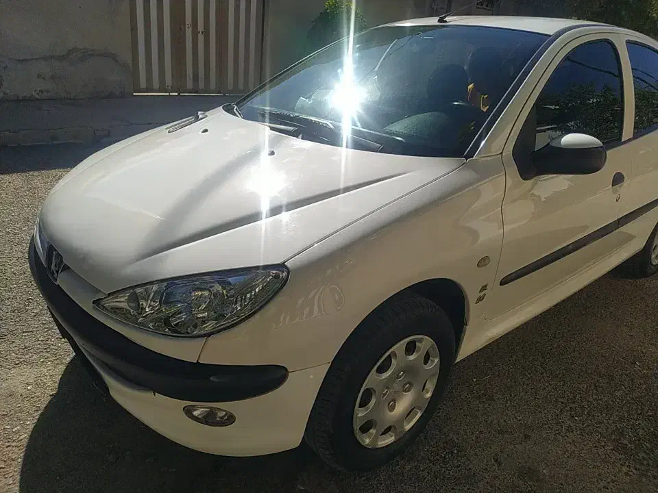 پژو 206 تیپ 2 - 1399