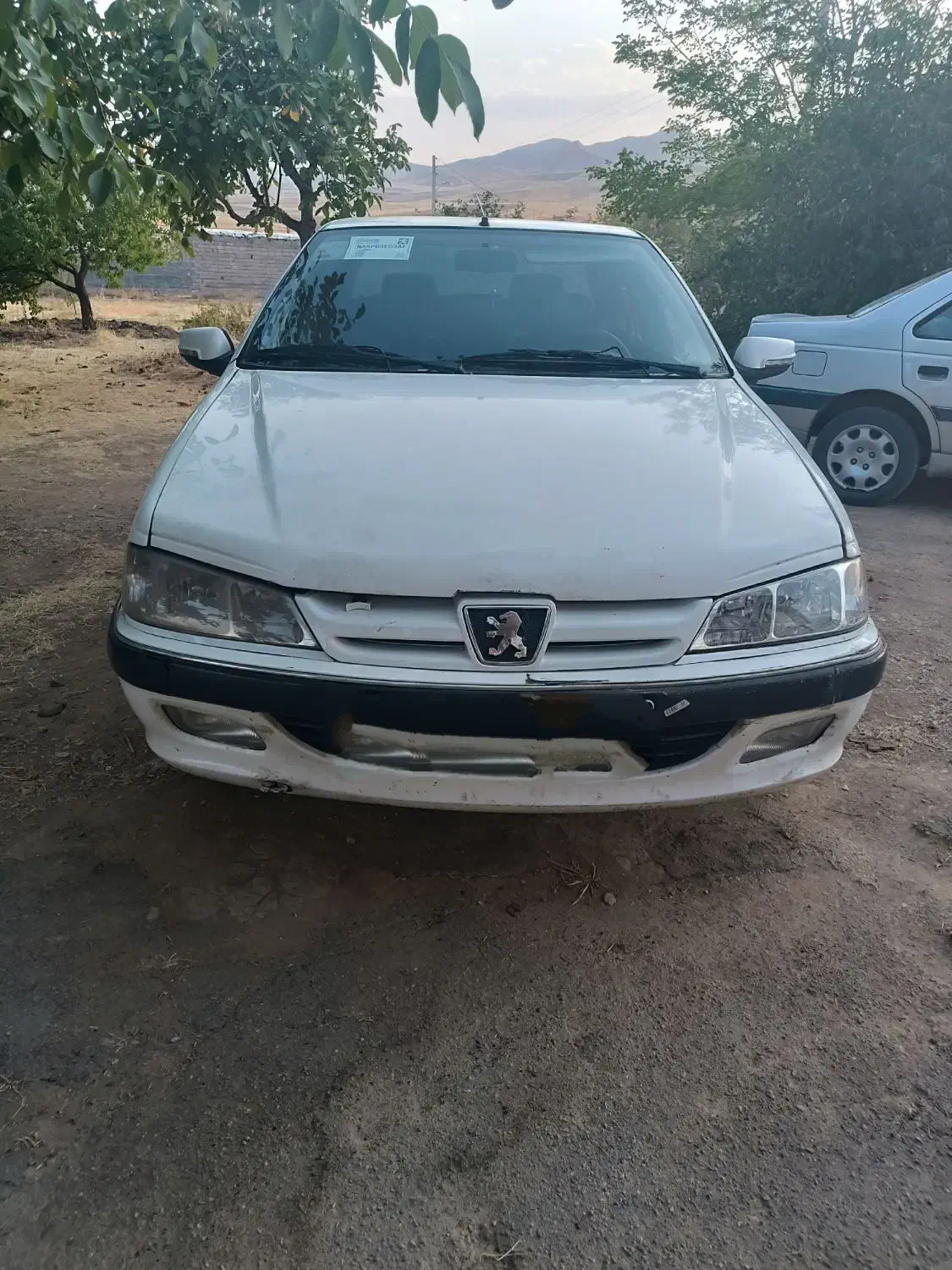 پژو پارس ELX-XU7P سفارشی - 1391