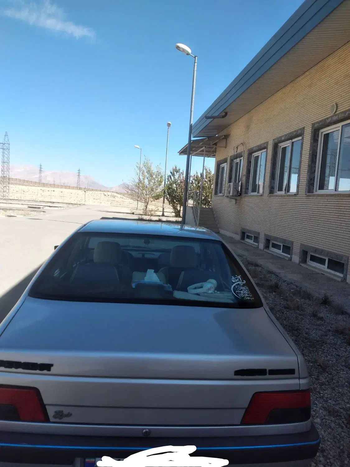 پژو 405 GLX - دوگانه سوز - 1395