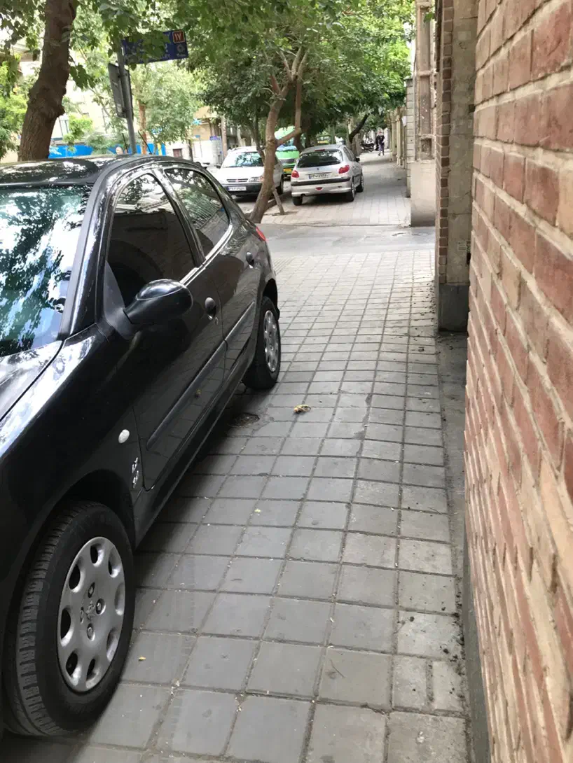 پژو 206 تیپ 2 - 1389