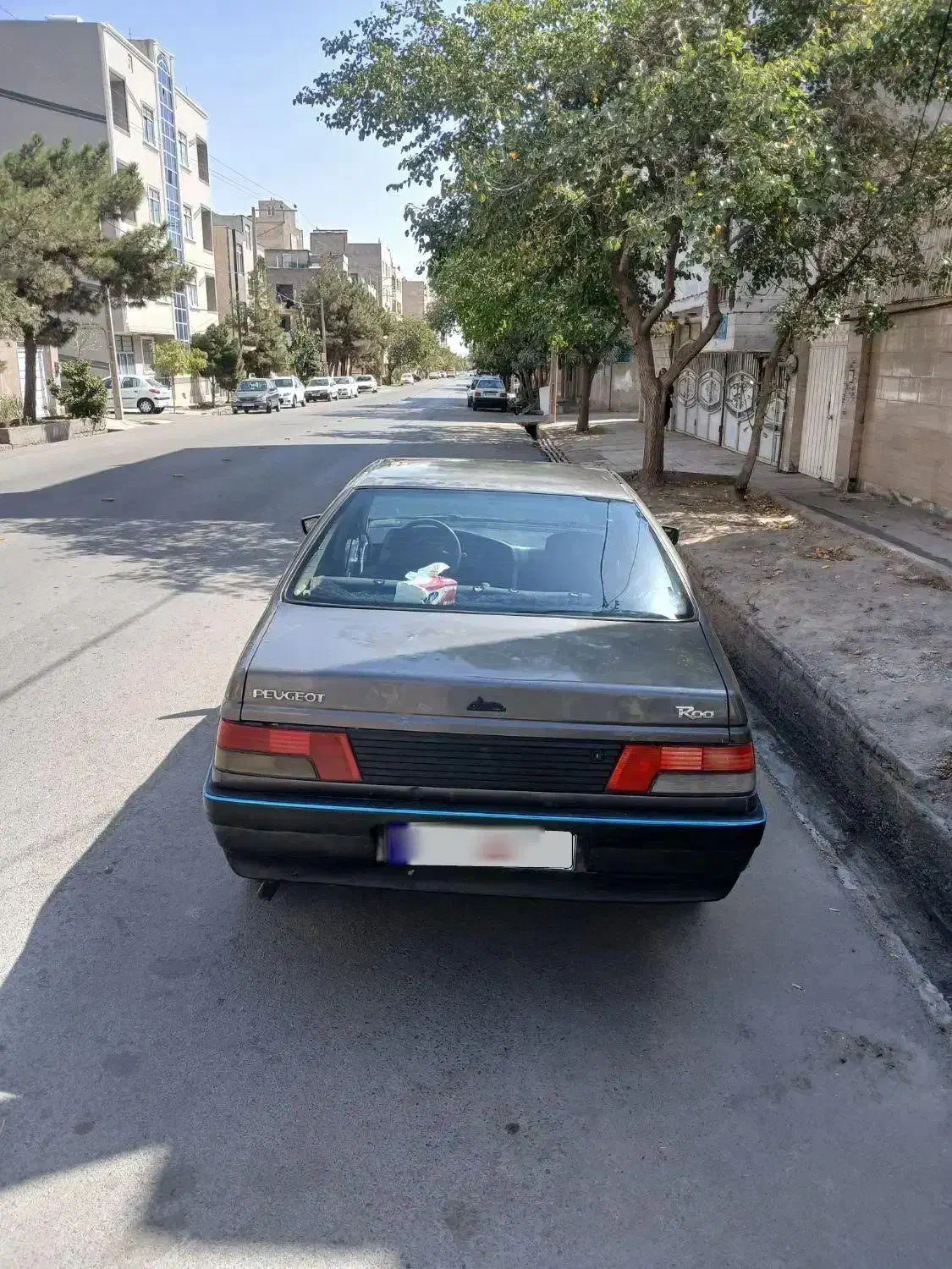 پژو روآ دوگانه سوز - 1385