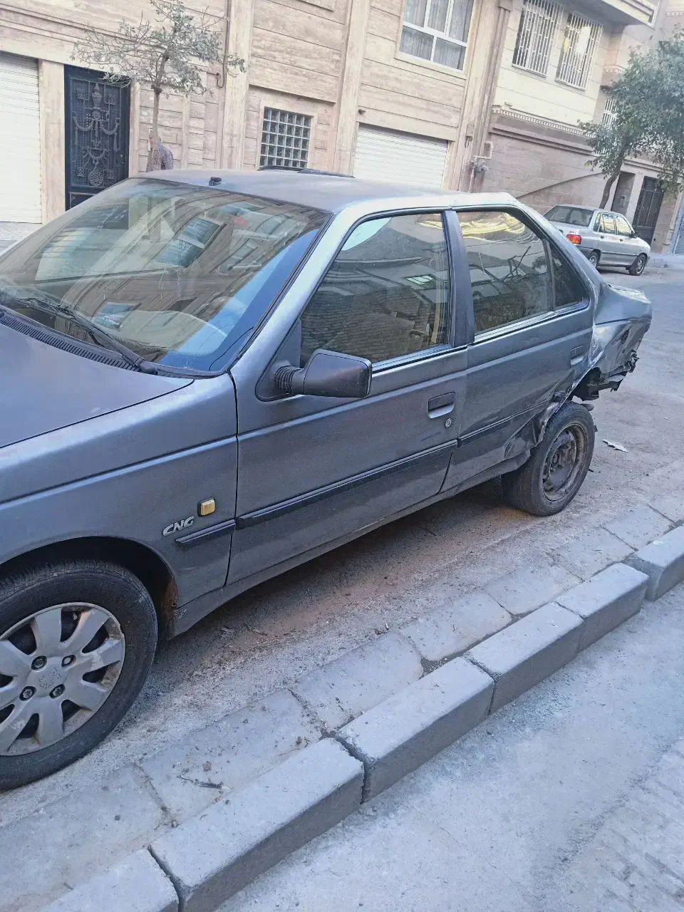 پژو 405 GLX - دوگانه سوز - 1390