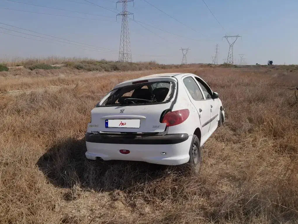 پژو 206 تیپ 5 - 1395